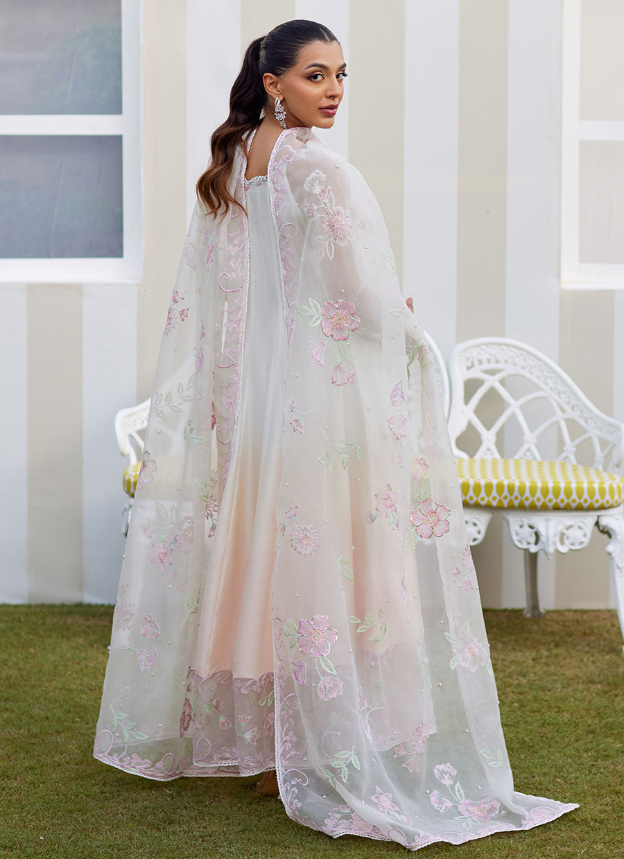 Amaris Ombre Kalidaar and Dupatta