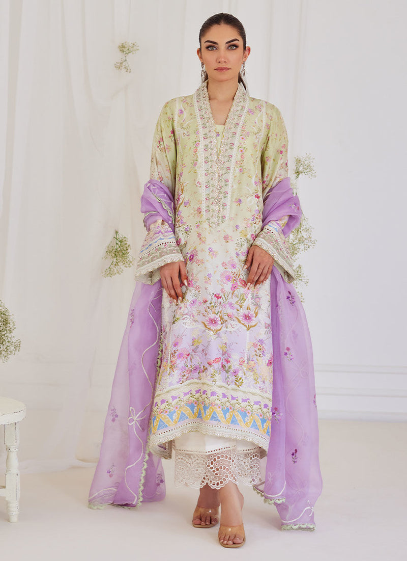 Renata Embroidered Organza Dupatta