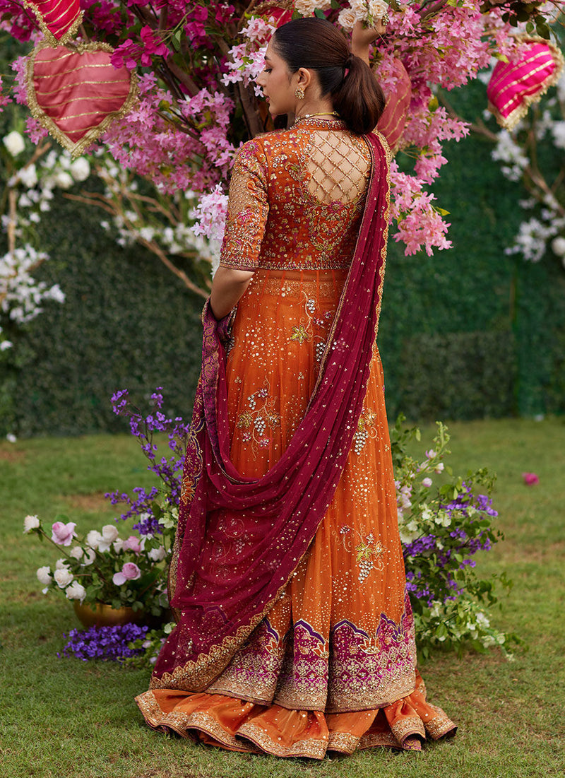 Mireya Burnt Orange Kalidaar