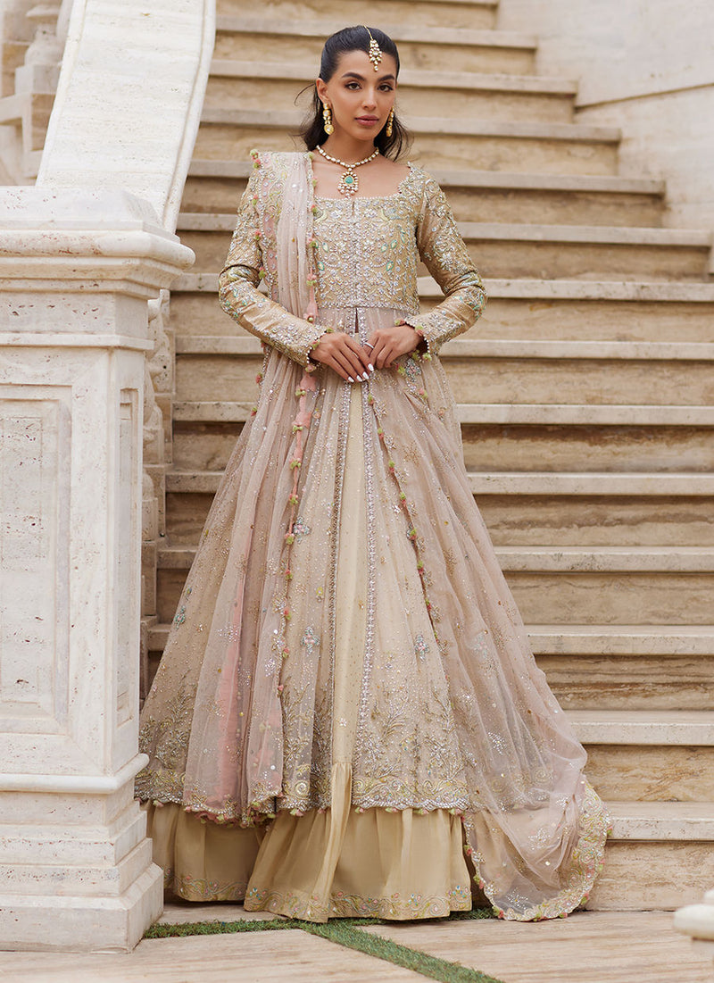 Sitara Champagne Kalidaar