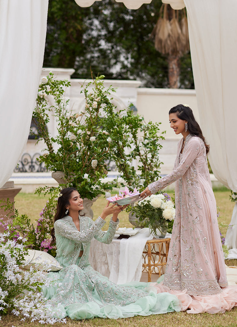 Araya Pale Blush Jacket