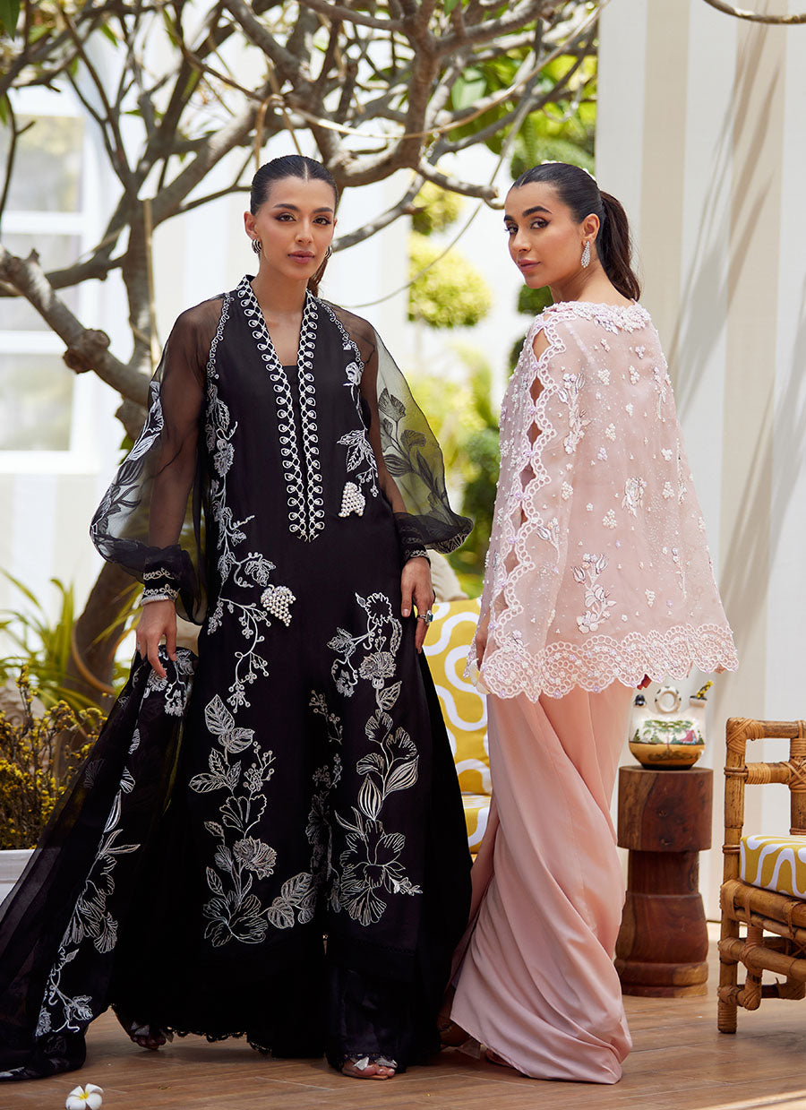 Cari Organza Cape and Pre-Drape Sari Skirt