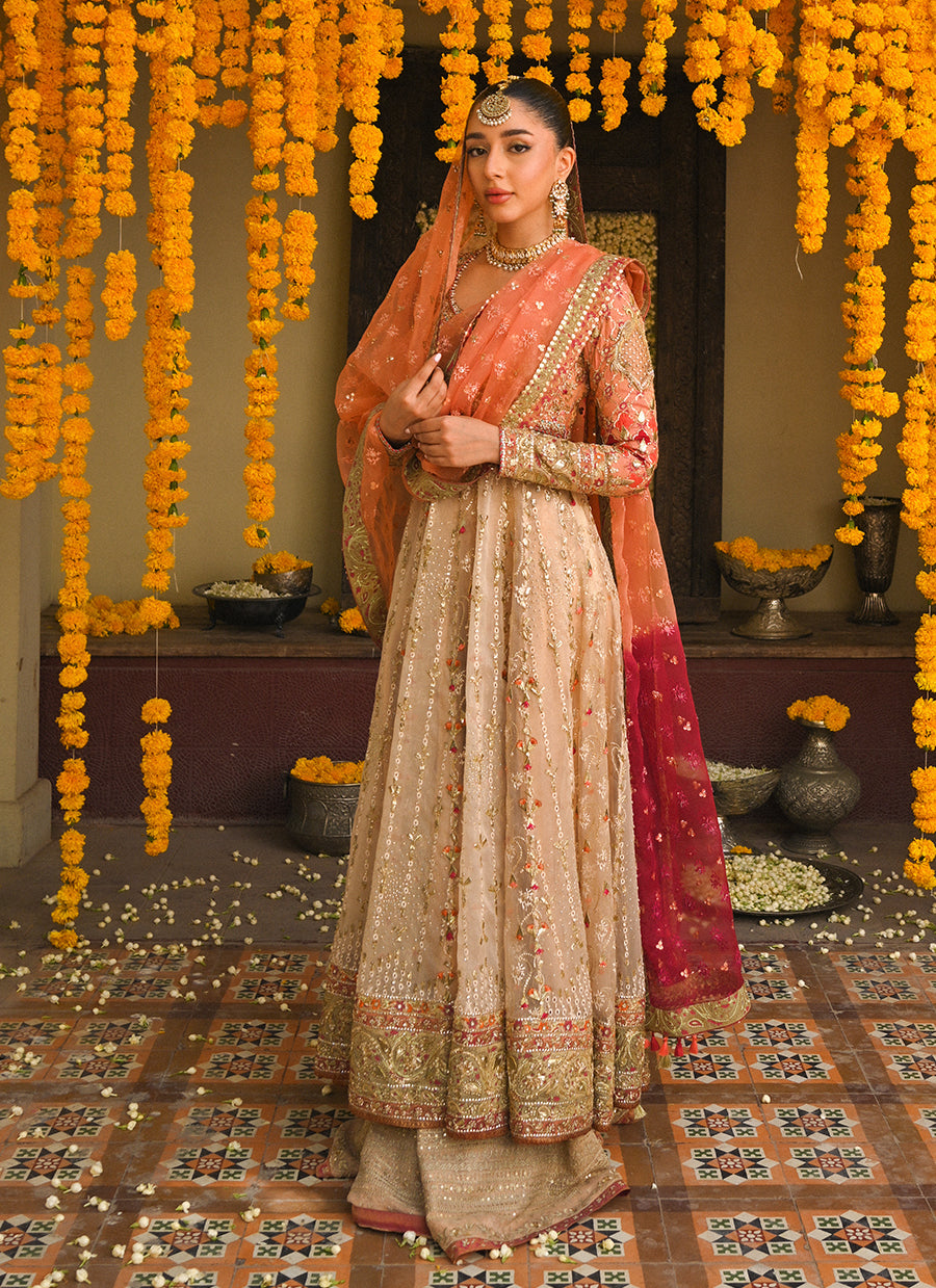 Ariella gold and coral kalidaar