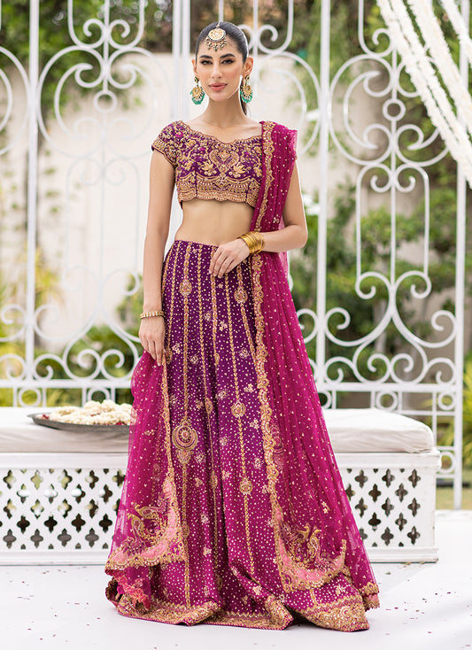 Shirin Ombre Lehenga Choli