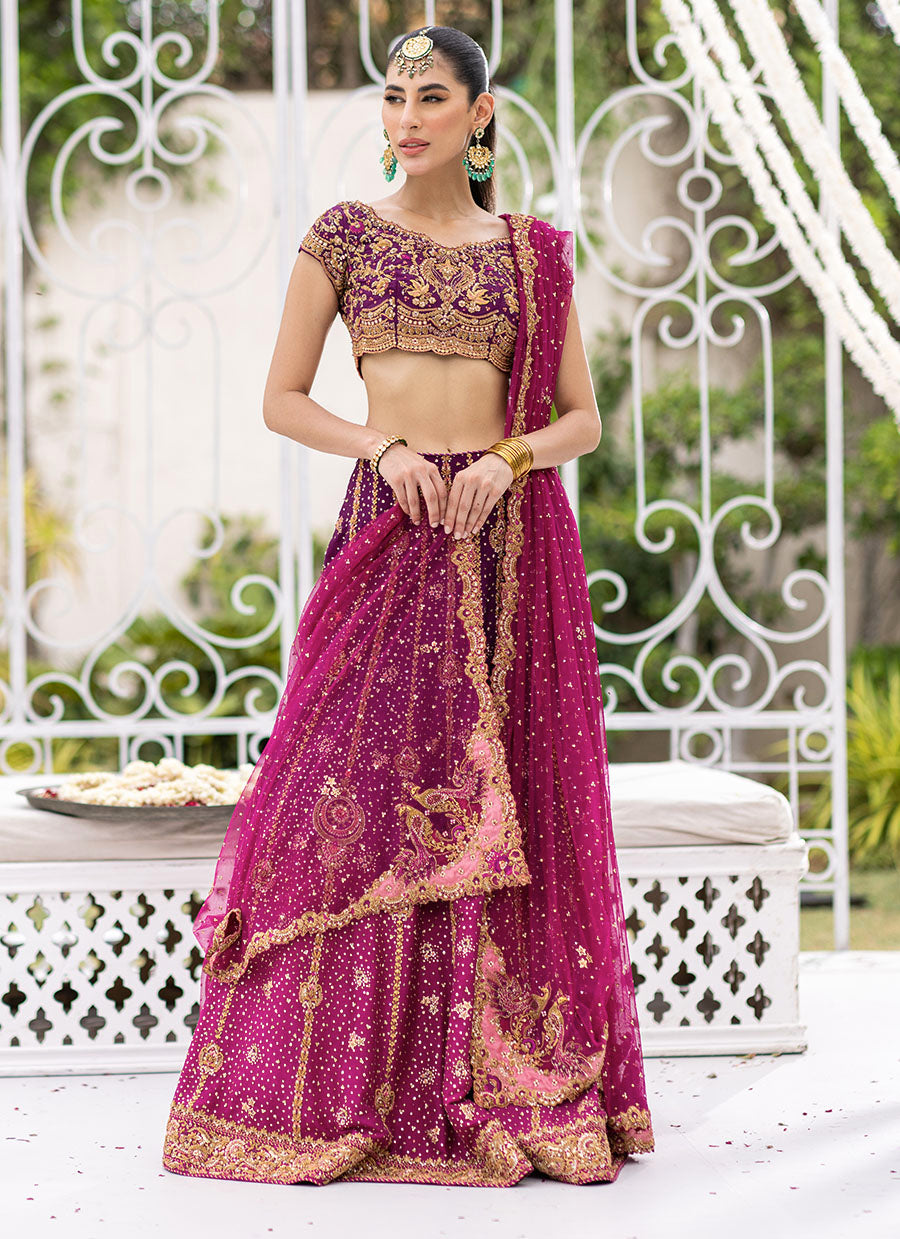 Shirin Ombre Lehenga Choli