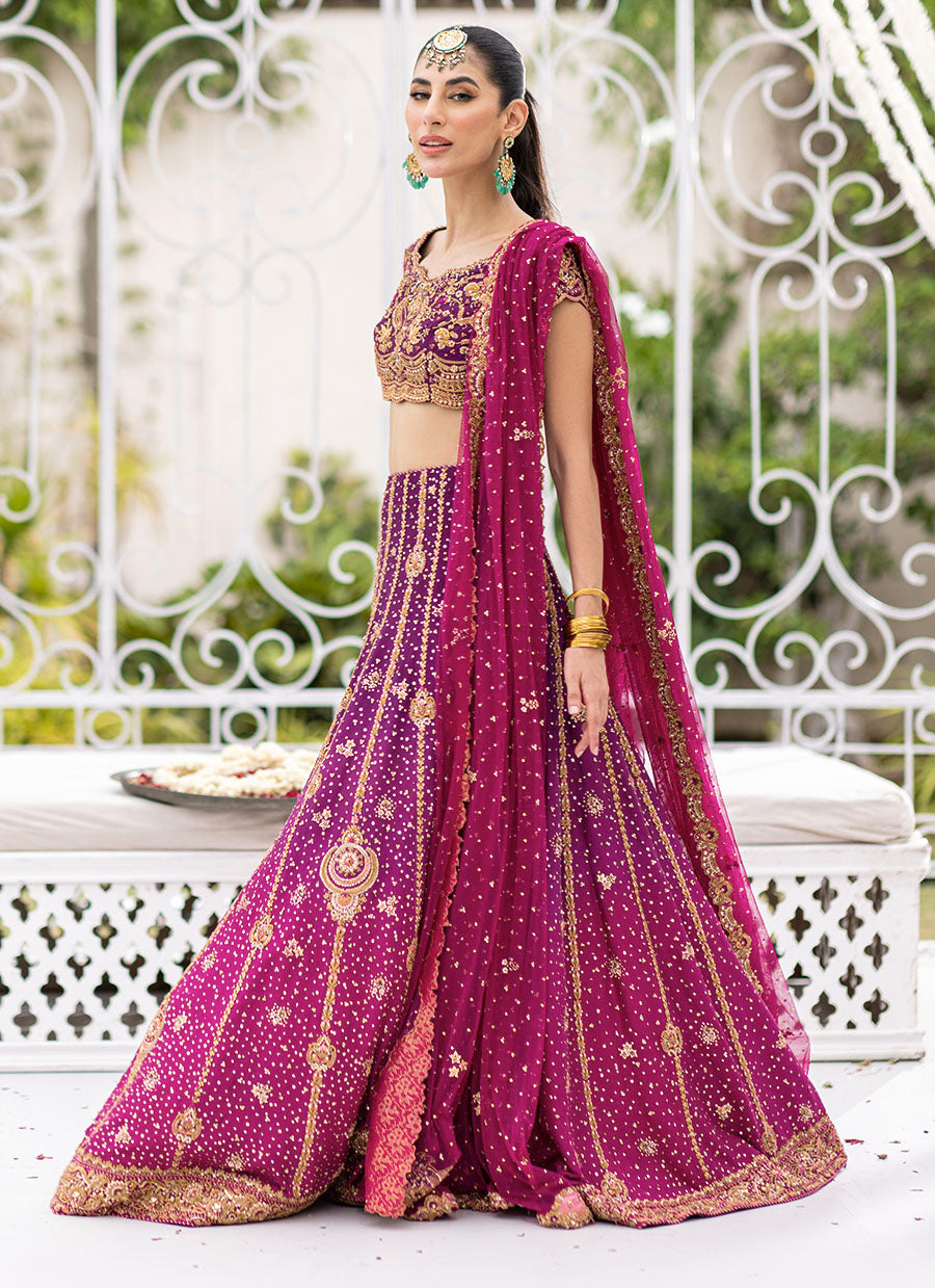 Shirin Ombre Lehenga Choli