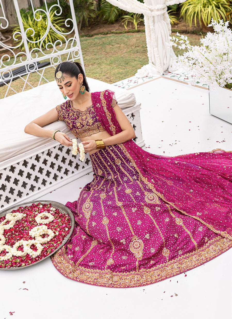 Shirin Ombre Lehenga Choli