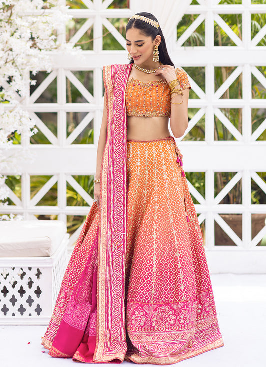 Naira Ombre Printed Lehenga Choli