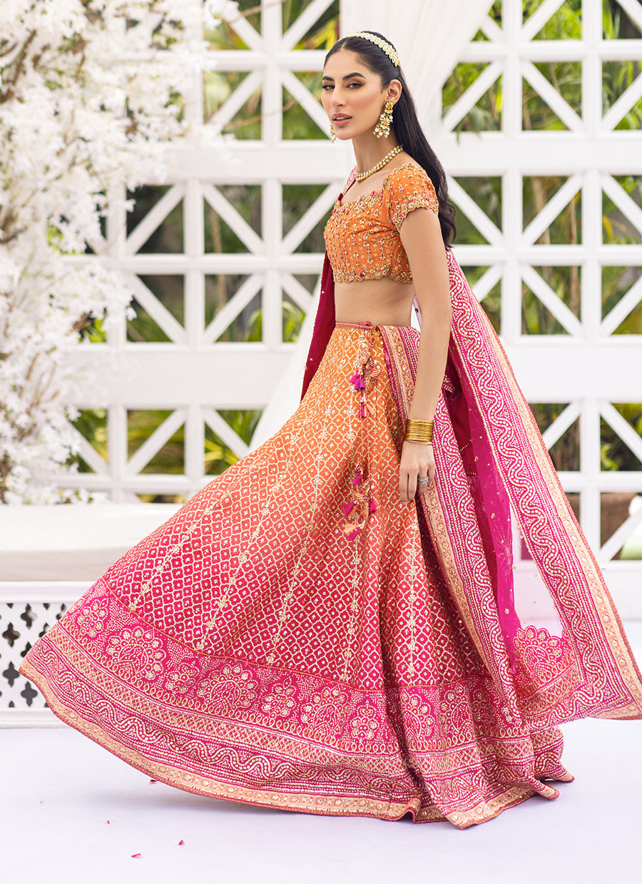 Naira Ombre Printed Lehenga Choli