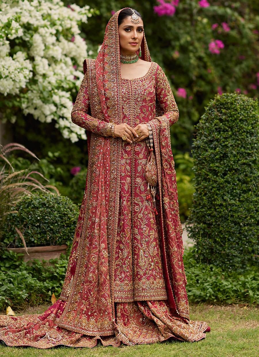 Dil Ras Panelled Farshi Bridal