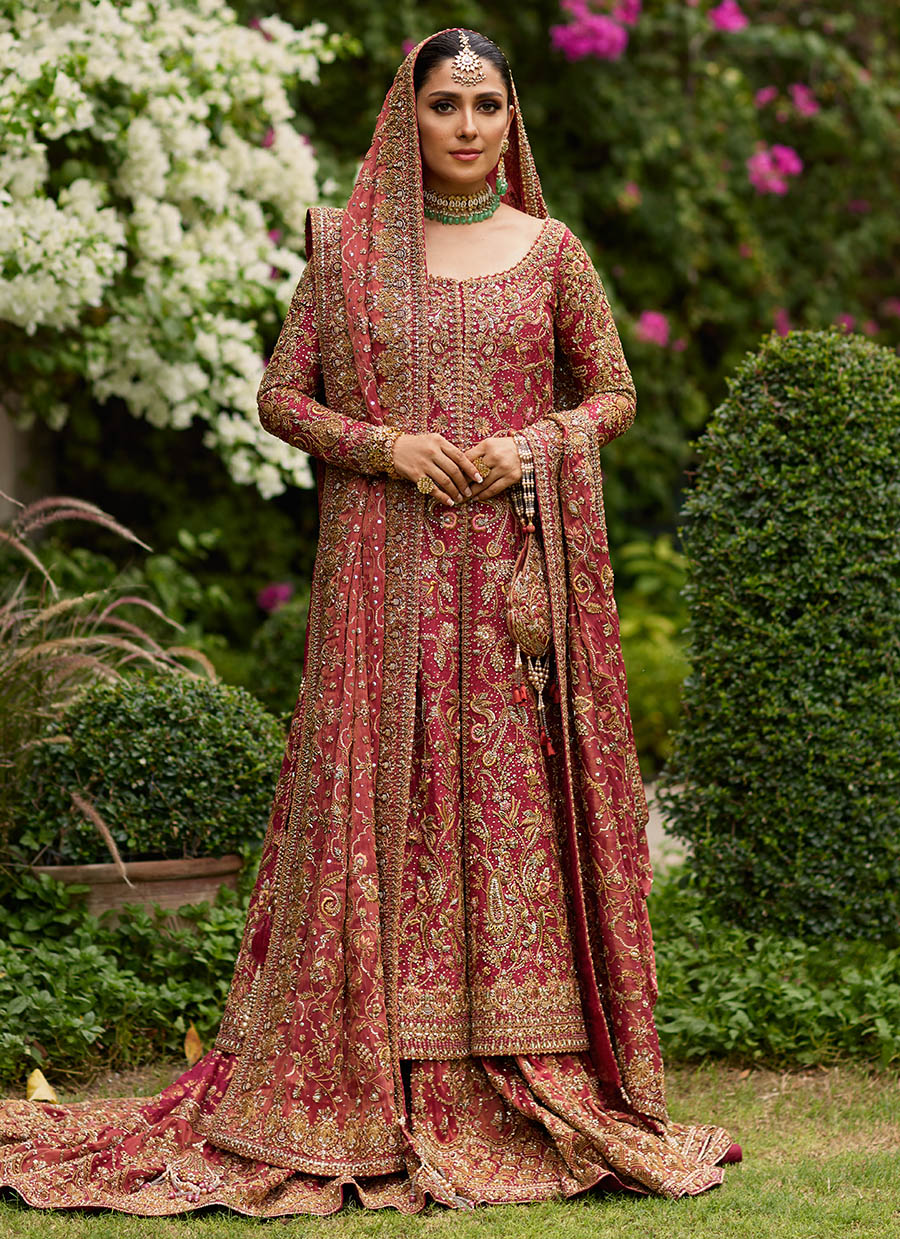 Dil Ras Panelled Farshi Bridal