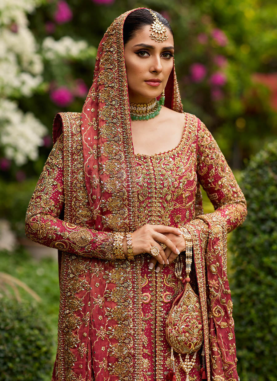 Dil Ras Panelled Farshi Bridal