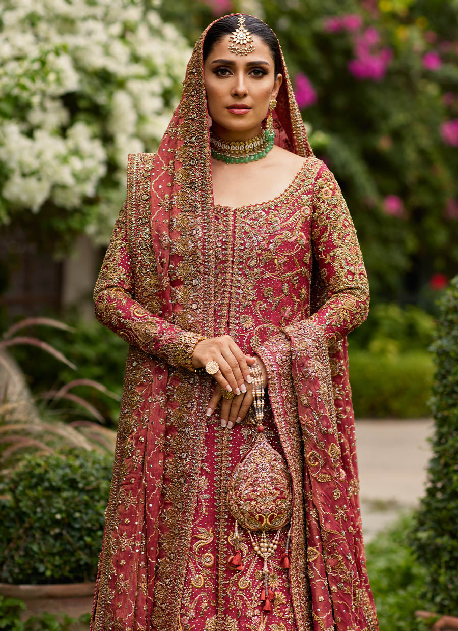 Dil Ras Panelled Farshi Bridal