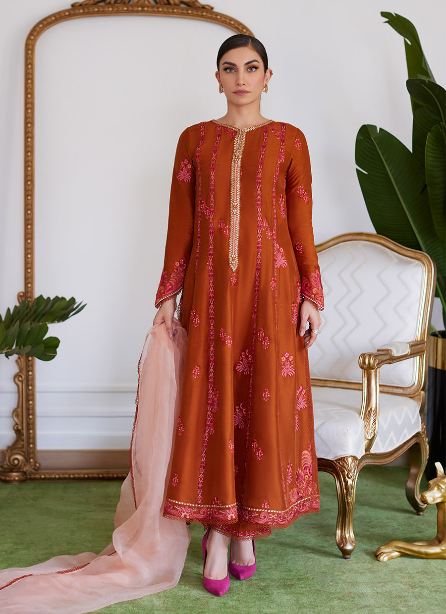 Seneera Embroidered Rust Raw Silk Kalidaar With Dupatta