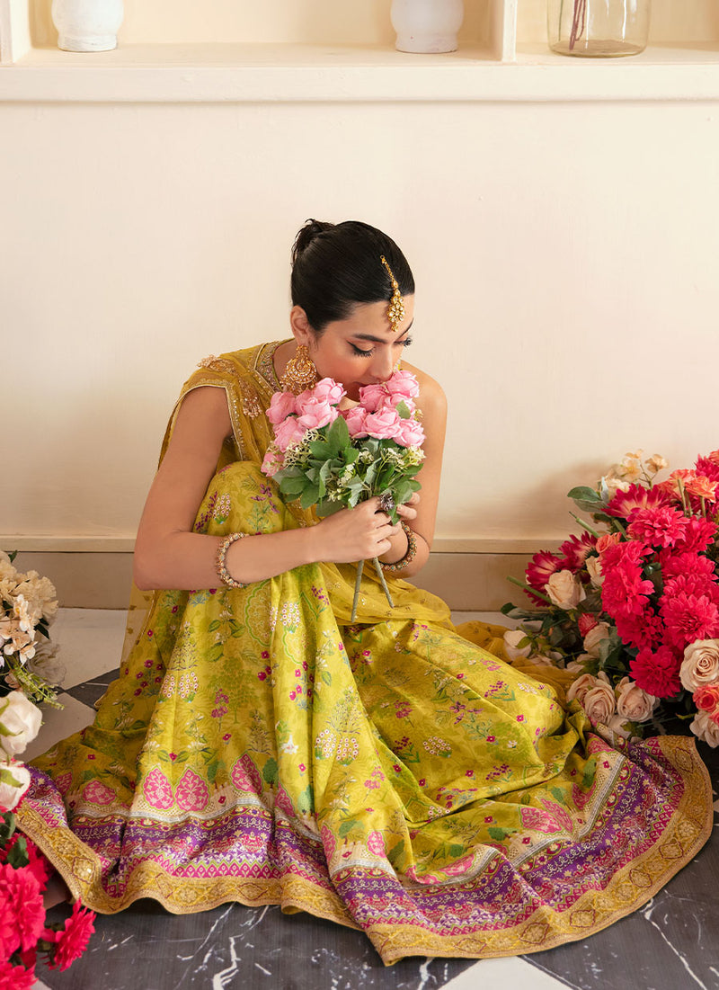 Elika Lime Lehnga Choli And Dupatta