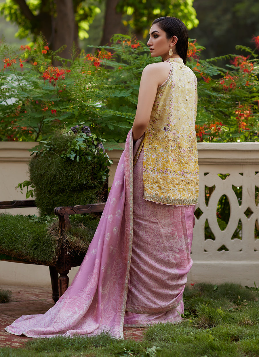 Iqala Saree, Blouse And Jacket