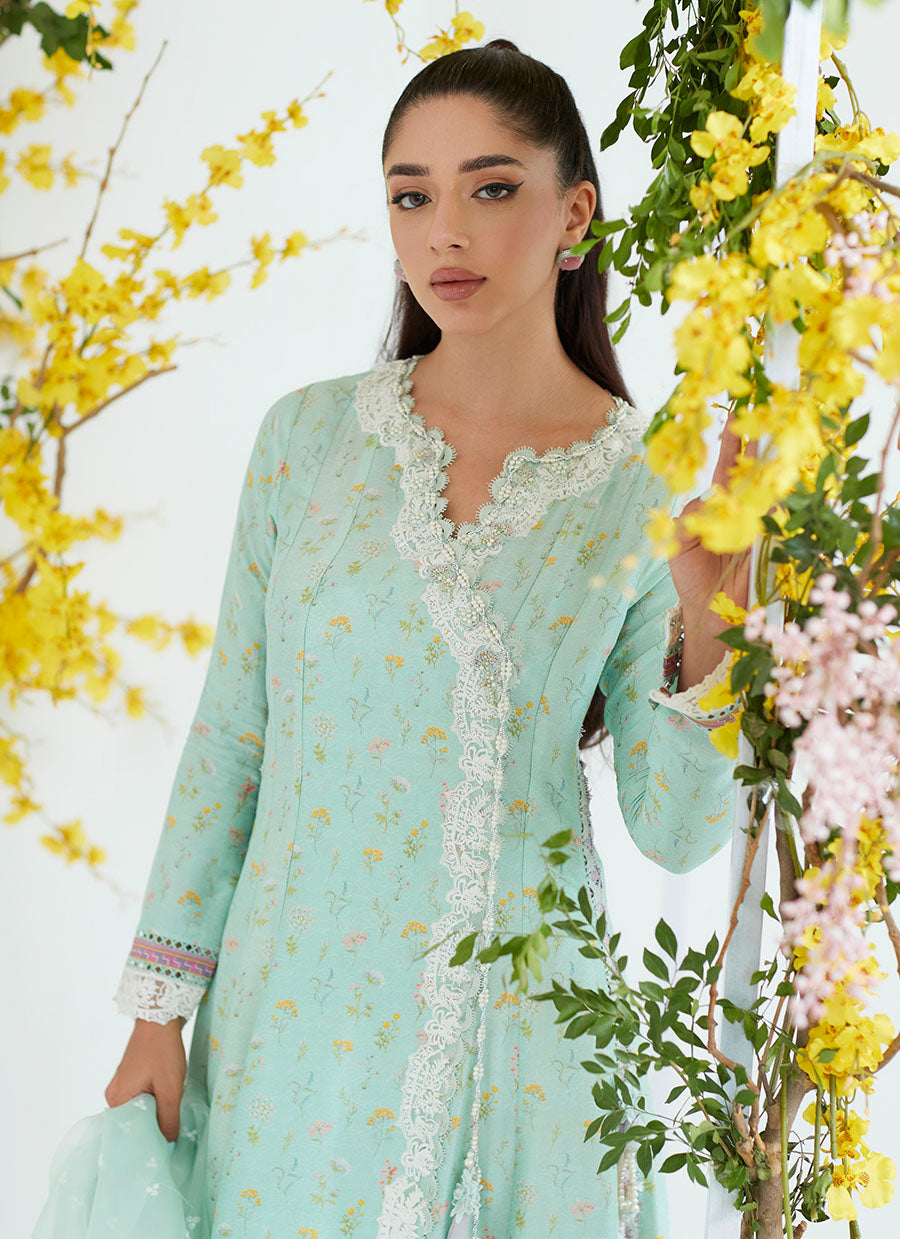 Alicia Mint Angarkha with Organza Dupatta