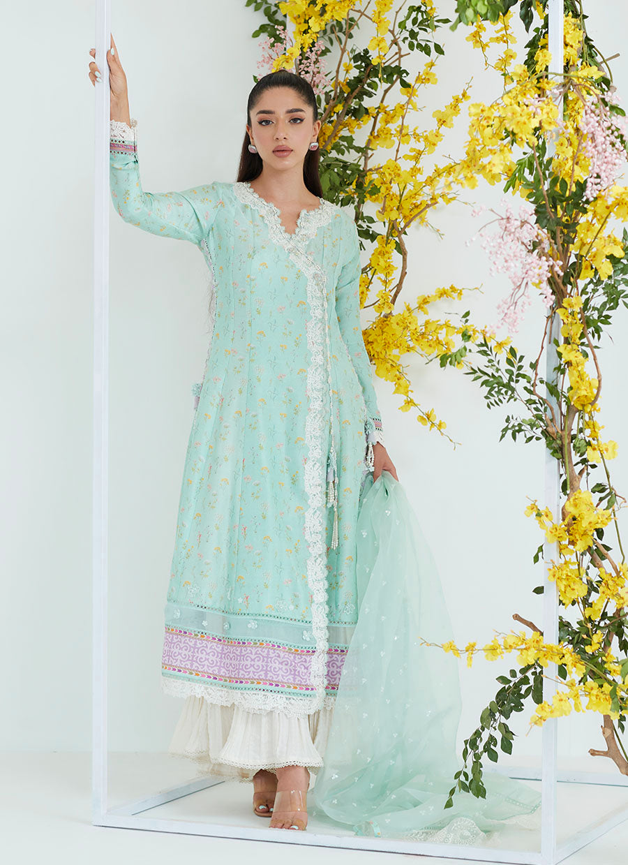 Alicia Mint Angarkha with Organza Dupatta