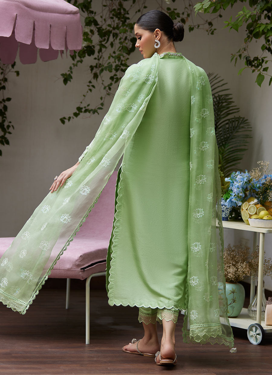 Katya Apple Green Cutwork Raw Silk Shirt with Organza Dupatta