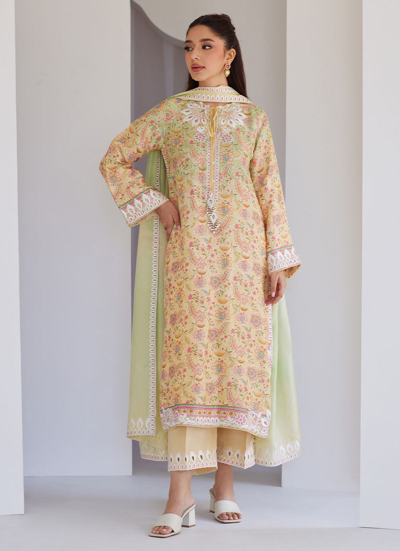 Leora Ombre Shirt and Dupatta