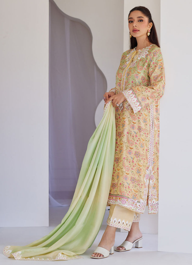 Leora Ombre Shirt and Dupatta