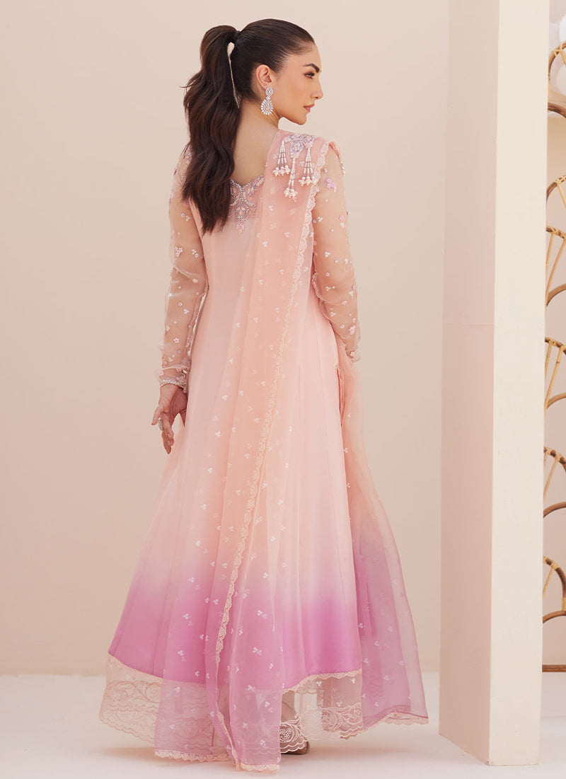 Deedee Pink Ombre Paneled Shirt and Dupatta