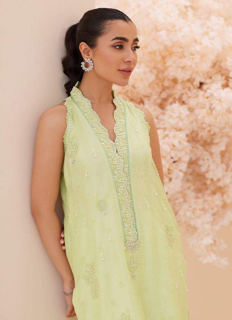 Pia Embroidered Raw Silk Shirt and Dupatta