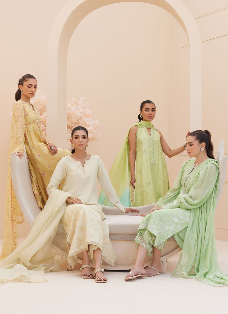 Pia Embroidered Raw Silk Shirt and Dupatta