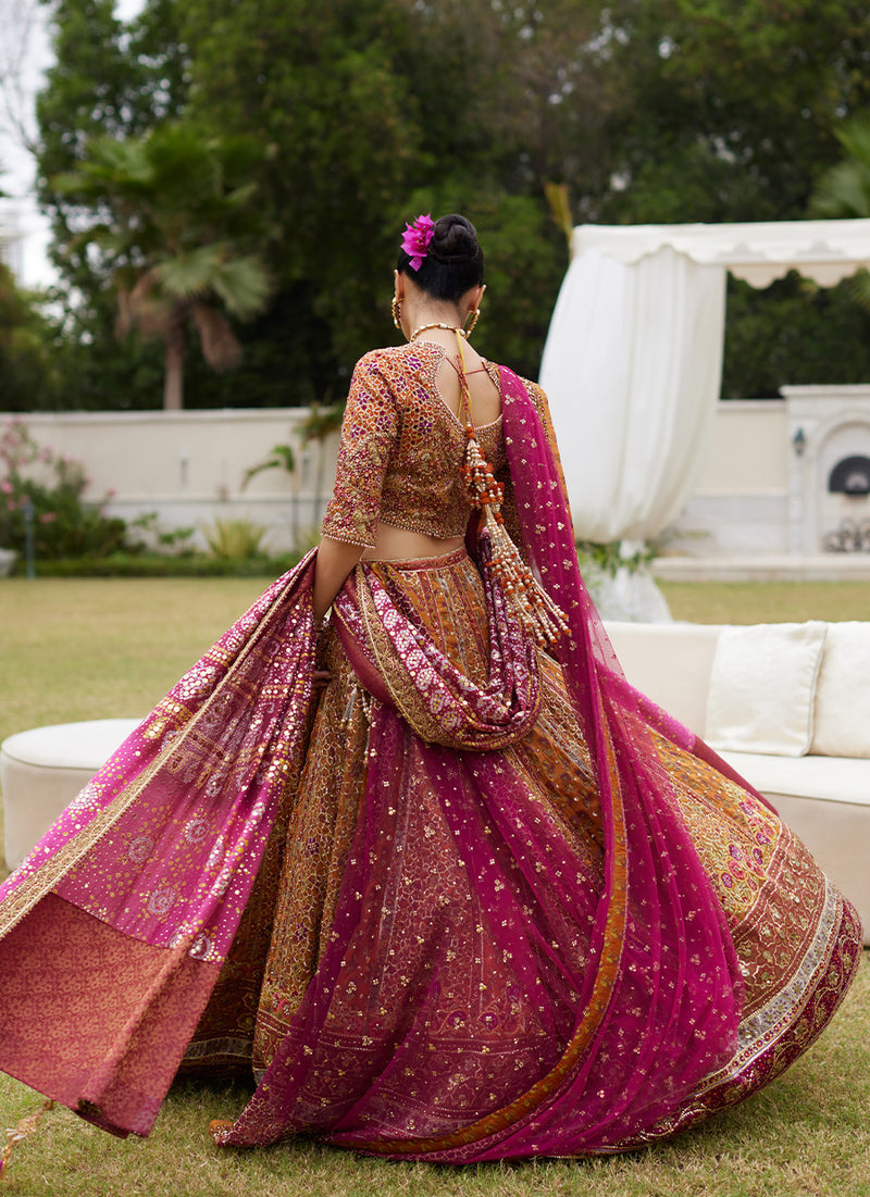Raina Rust Lehnga Choli