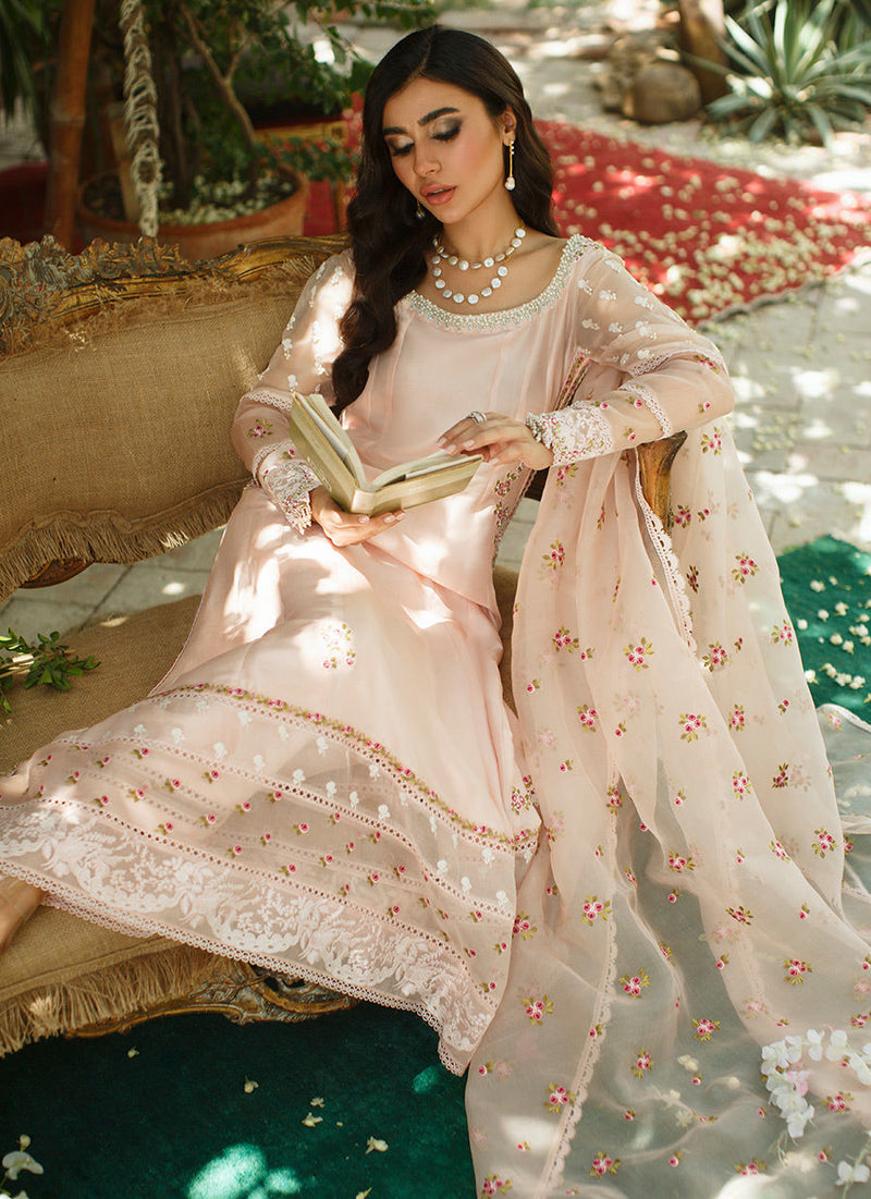 Blush Amara Kalidaar and Dupatta