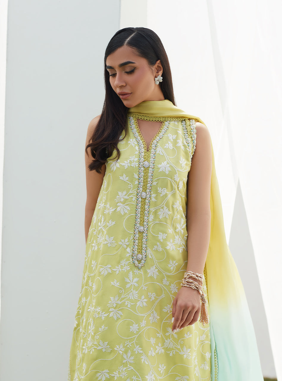 Pear Embroidered Silk Shirt and Dupatta