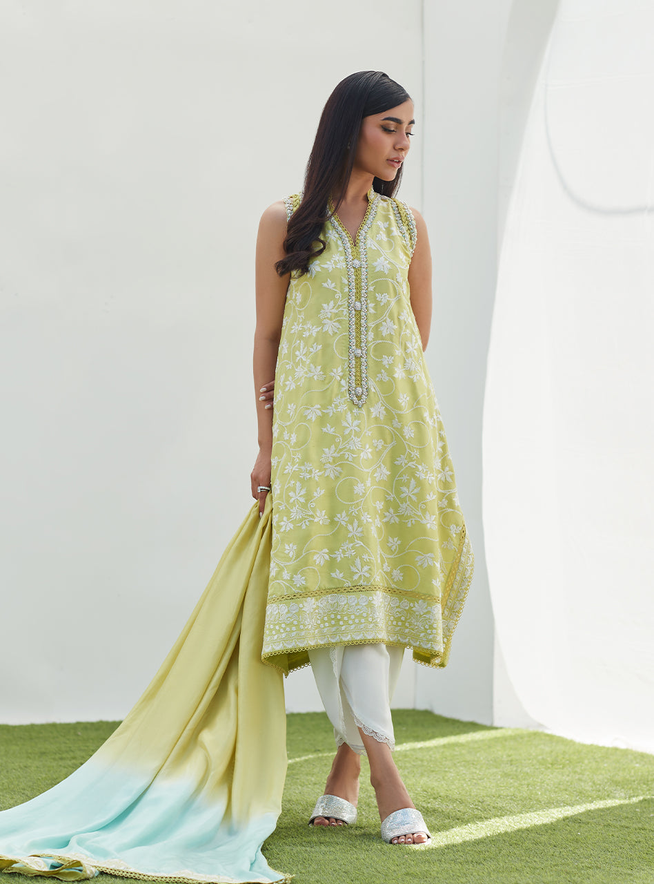 Pear Embroidered Silk Shirt and Dupatta