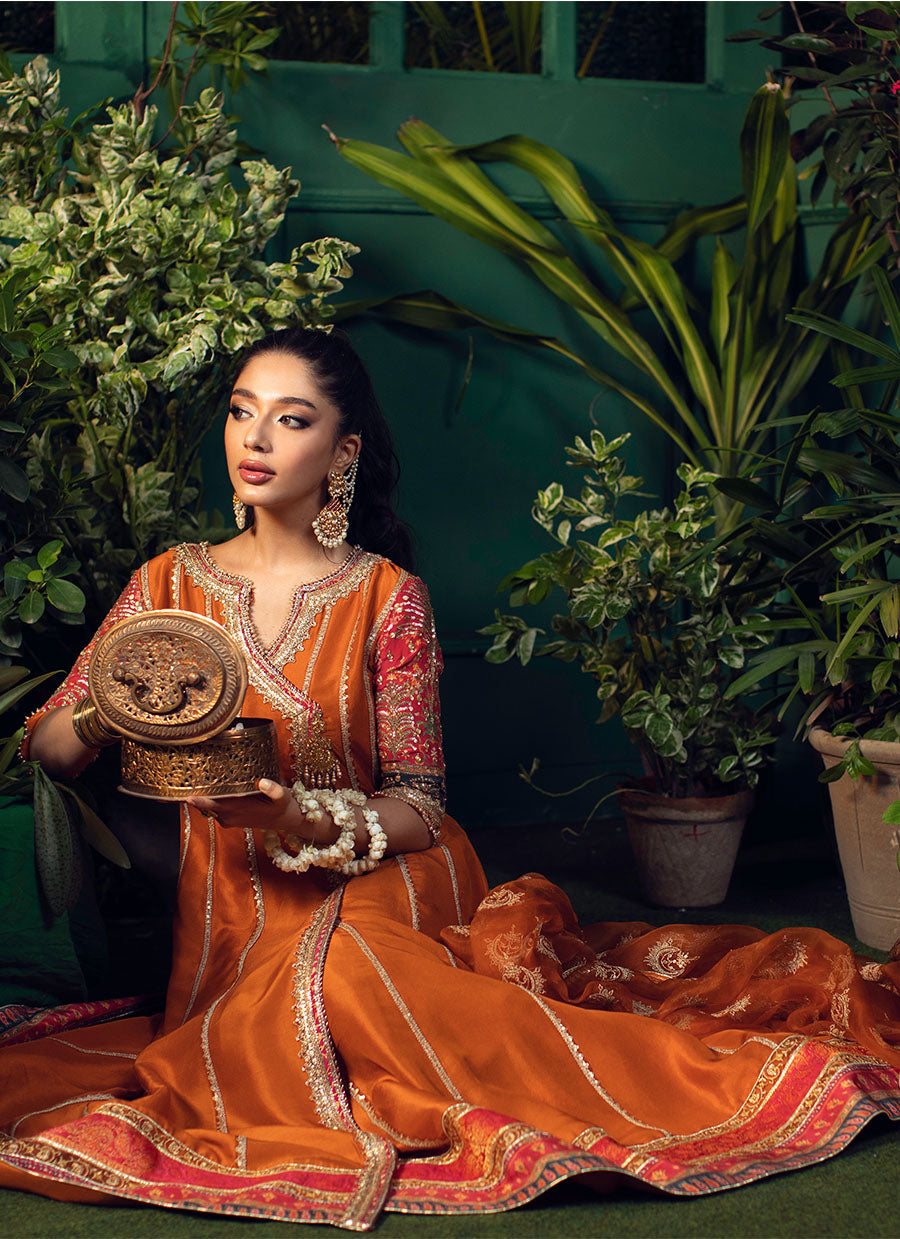 Shohreh Rust Kalidaar With Organza Baali Embroidered Sequence Dupatta