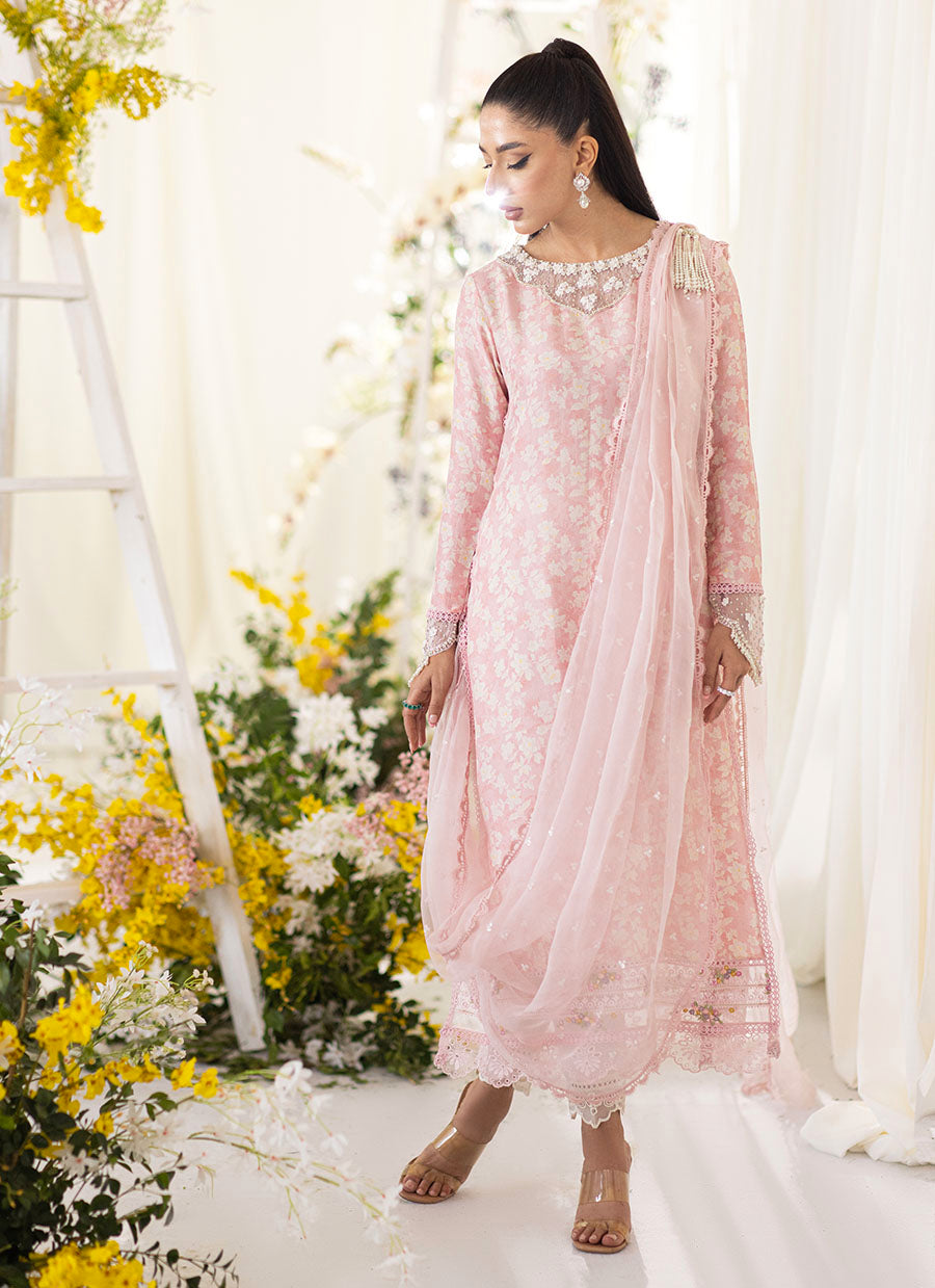 Olea Blush Silk Shirt And Pre-Draped Dupatta